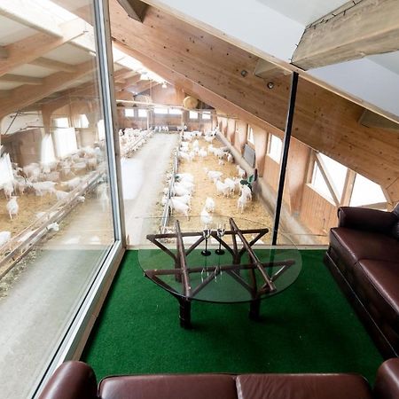 Appartement Auszeit Am Ziegenhof Nur Fuer Erwachsene à Schlierbach Extérieur photo