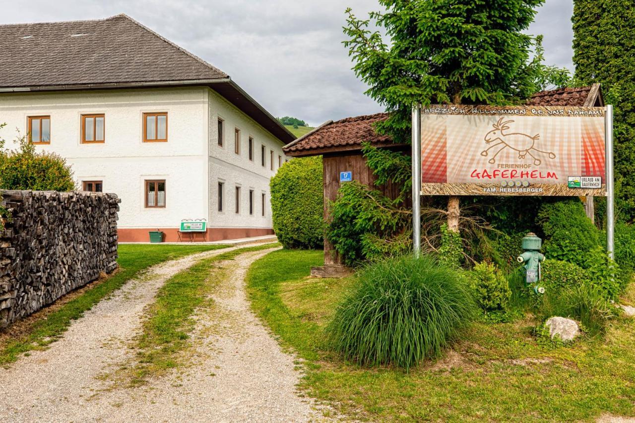 Appartement Auszeit Am Ziegenhof Nur Fuer Erwachsene à Schlierbach Extérieur photo