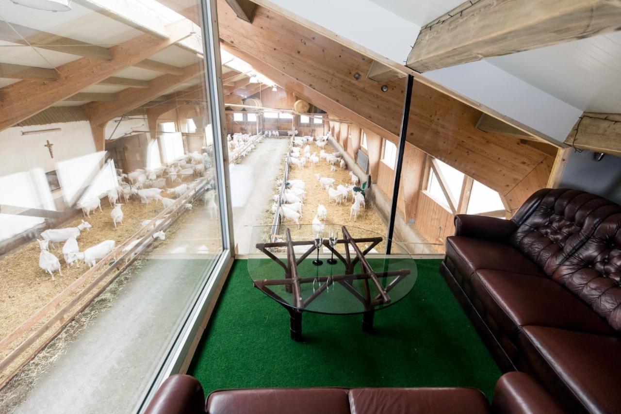 Appartement Auszeit Am Ziegenhof Nur Fuer Erwachsene à Schlierbach Extérieur photo