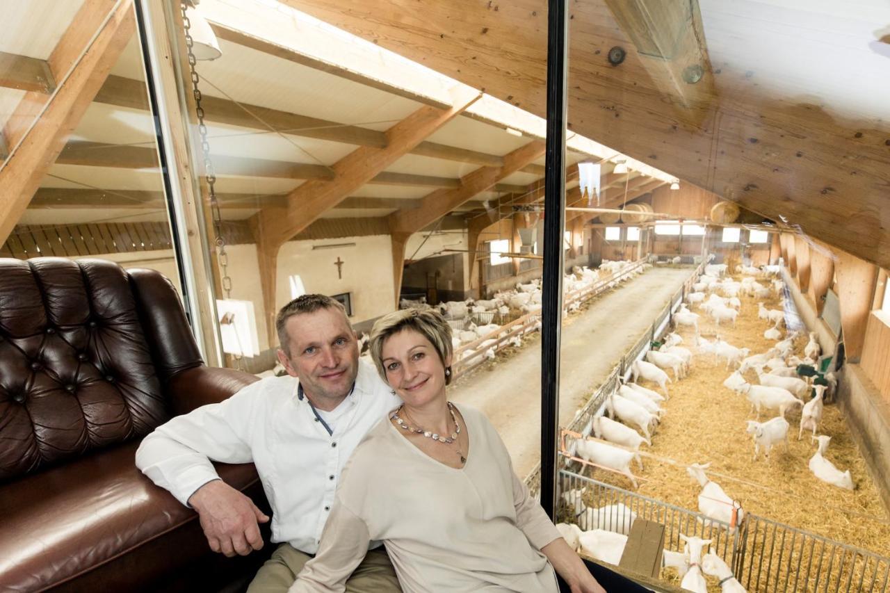 Appartement Auszeit Am Ziegenhof Nur Fuer Erwachsene à Schlierbach Extérieur photo